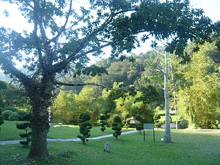 Botanischer Garten Penang