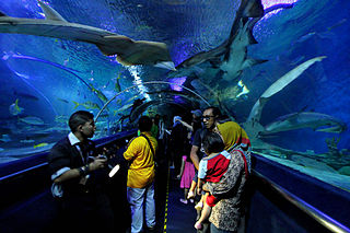 Aquaria KLCC