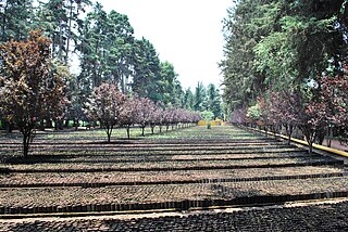 Vivero Coyoacán