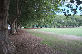 Waiatarau / Victoria Park