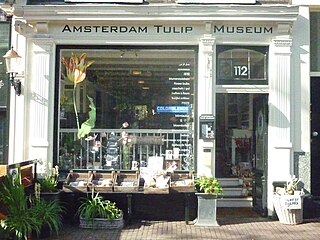 Amsterdam Tulip Museum