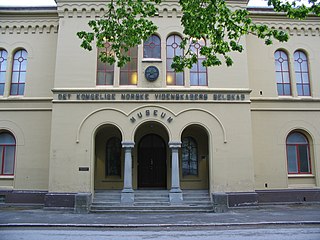 NTNU Vitenskapsmuseet