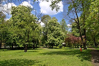 Park im. Jana Kilińskiego