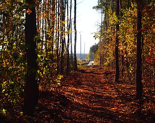 Park Źródła Olechówki