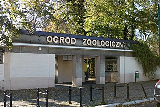 Stare Zoo