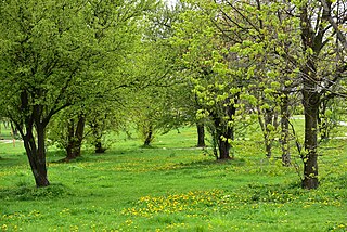 Park Pięciu Sióstr