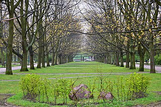 Park Wielkopolski