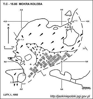 Mokra Koleba