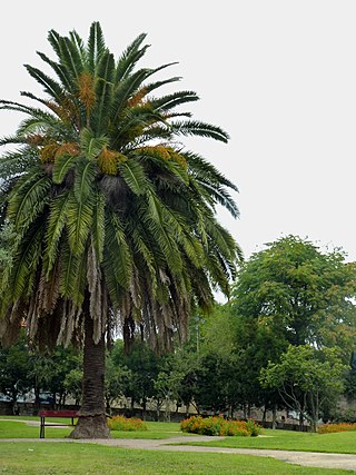 Jardim da Pena