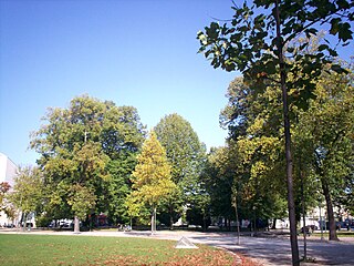 Jardim da Praça de Mouzinho de Albuquerque