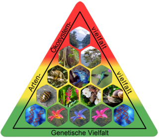 Biodiversidade