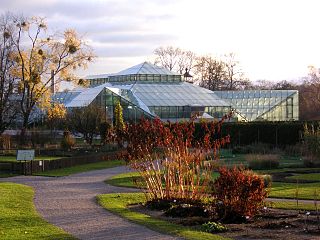 Bergianska trädgården