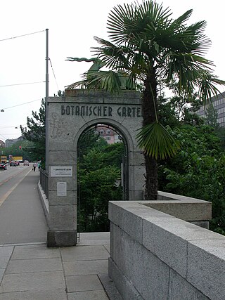 Botanischer Garten Bern