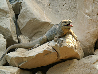 Tierpark Bern