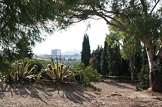 Parc de la Mediterrània