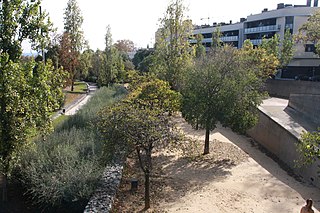 Parc de la Riera de Canyadó