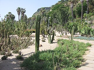 Jardins de Mossèn Costa i Llobera