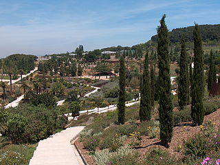 Jardí botànic de Barcelona