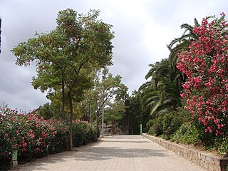 Parc de la Creueta del Coll