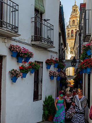 Calleja de las Flores