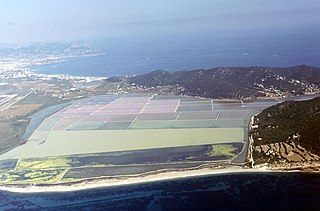 Parc natural de ses Salines