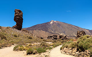 Roques de García