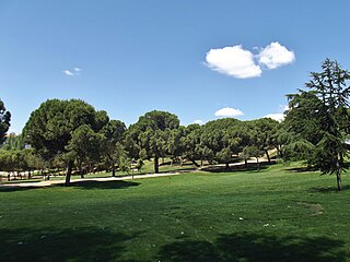 Parque de San Isidro