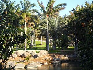 Der Park Palmetum von Santa Cruz de Tenerife