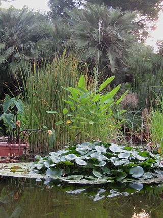 Jardí Botànic de la Universitat de València