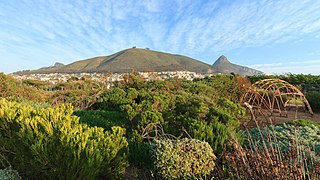 Green Point Park