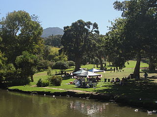 Wynberg Park