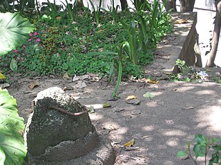 海山神社殘蹟