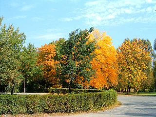 Óbudai-sziget