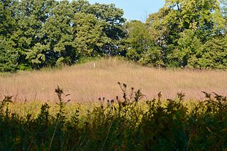 Albany Mounds Site