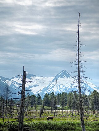 Alaska Wildlife Conservation Center