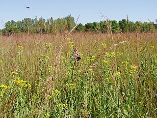 Jay C Hormel Nature Center