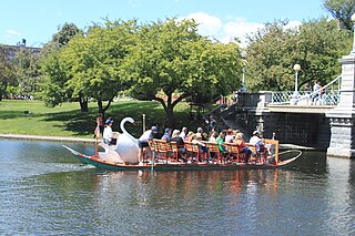 Swan Boats