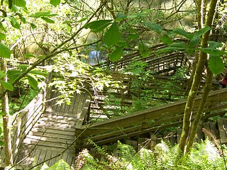 Devil's Millhopper Geological State Park