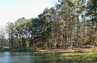 Three Rivers State Park