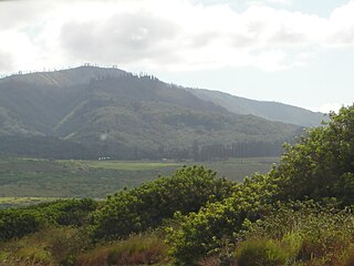 Lānaʻihale