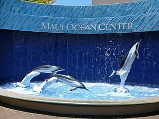 Maui Ocean Center