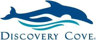 Discovery Cove