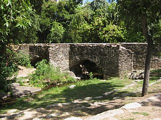 Espada Acequia