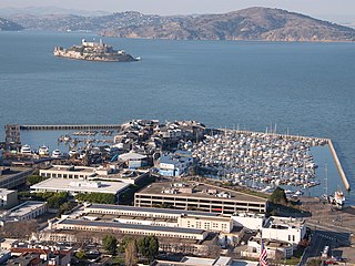 Pier 39 Sea Lions