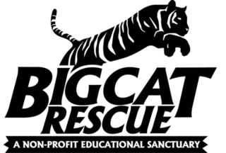 Big Cat Rescue