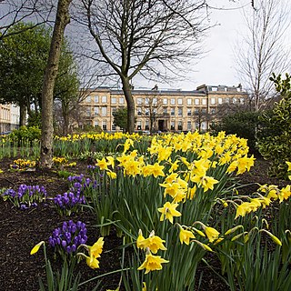 Blythswood Square Gardens