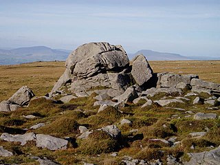 Ward's Stone