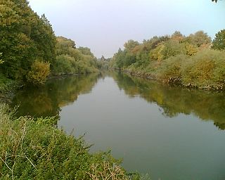 Hackney Marshes