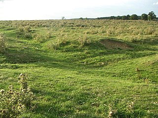 Snelshall Priory