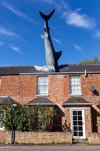 Headington Shark